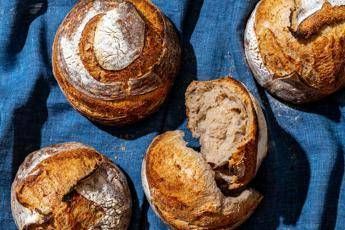 La nutrizionista, 'a Pasqua scegliete fra pane o pasta e martedì giornata verde' La nutrizionista, 'a Pasqua scegliete fra pane o pasta e martedì giornata verde'